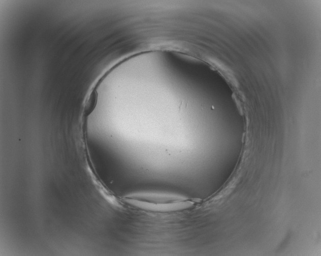 X0000075890816200609291704