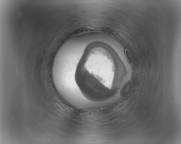 X0000075890817200609291703