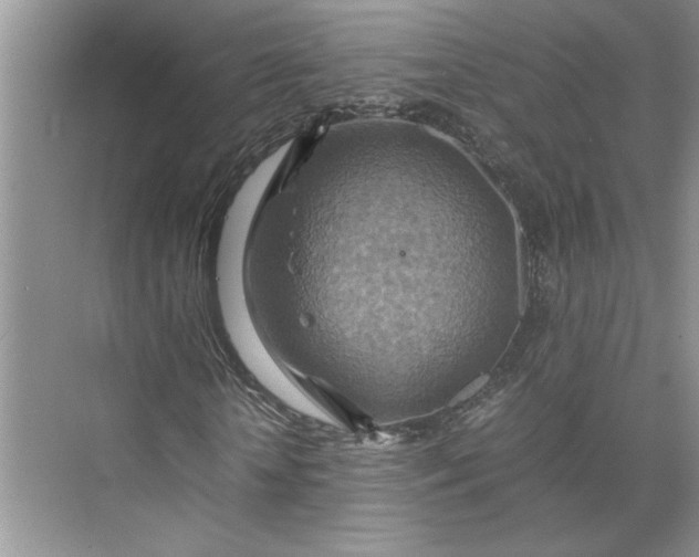 X0000075890818200609291703