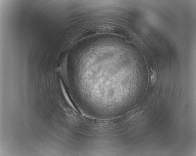 X0000075890819200609291703