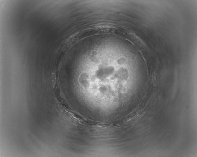 X0000075890821200609291703