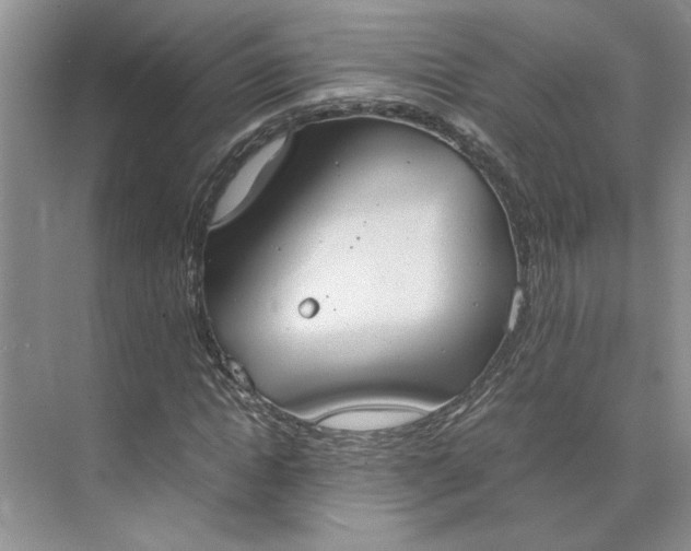 X0000075890822200609291703