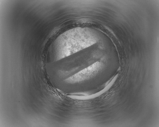 X0000075890823200609291703