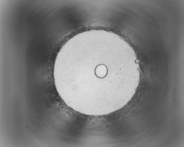 X0000075890824200609291703