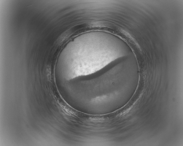 X0000075890825200609291703