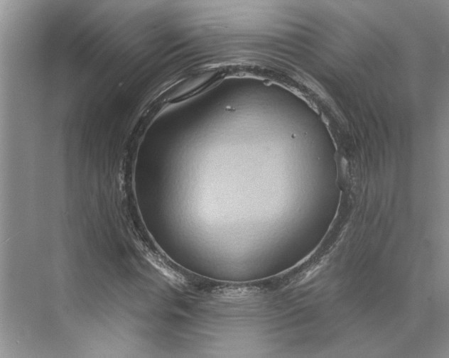 X0000075890826200609291703