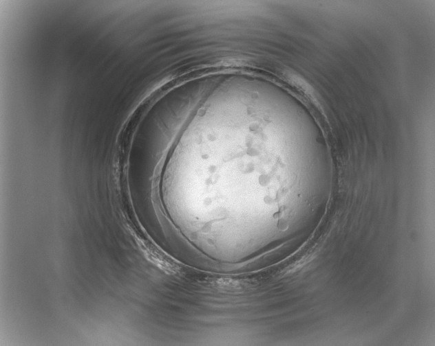 X0000075890827200609291703