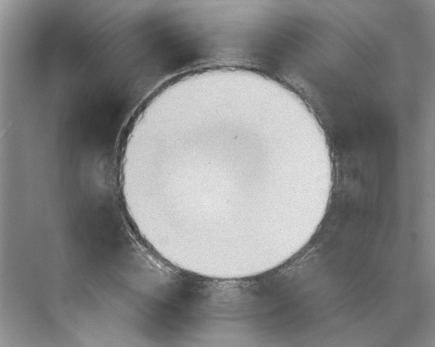 X0000075890828200609291703