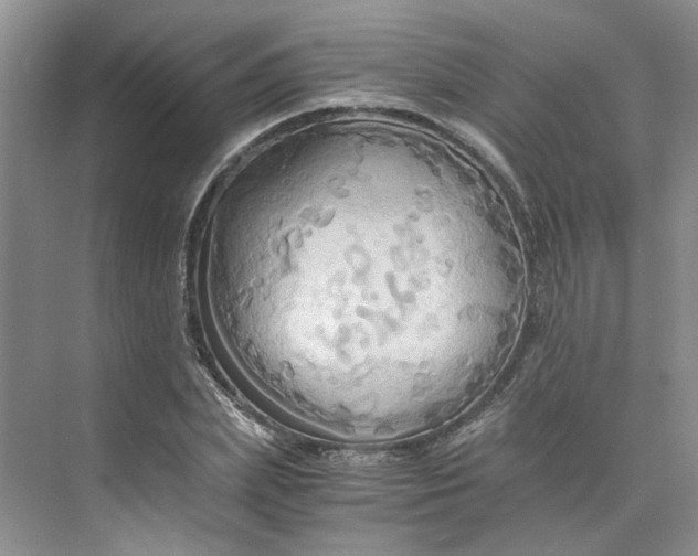 X0000075890831200609291703