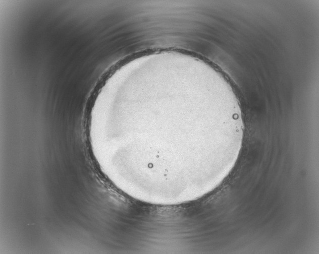 X0000075890832200609291703