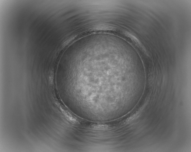 X0000075890833200609291703