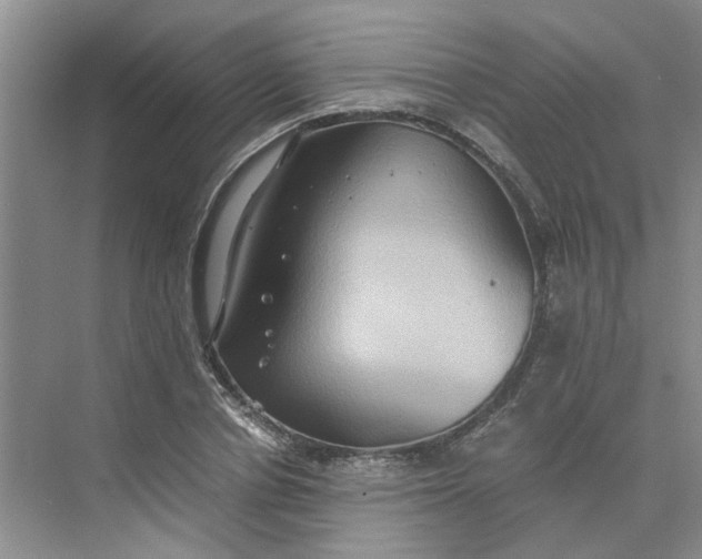 X0000075890834200609291703