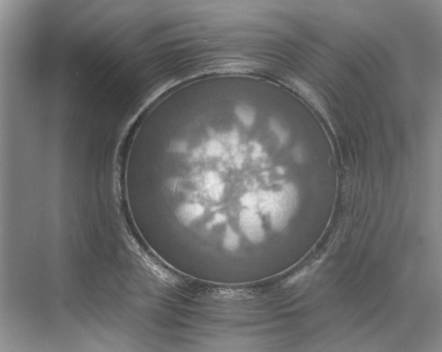 X0000075890835200609291703