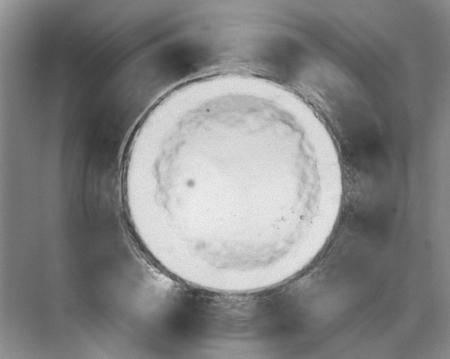 X0000075890836200609291703