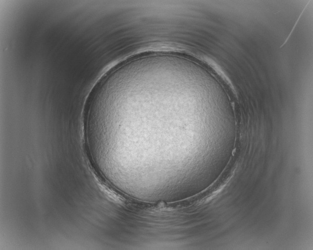 X0000075890837200609291704