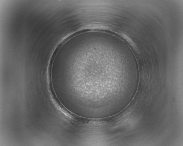 X0000075890840200609291704