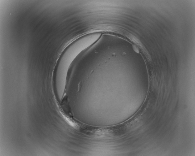 X0000075890842200609291704