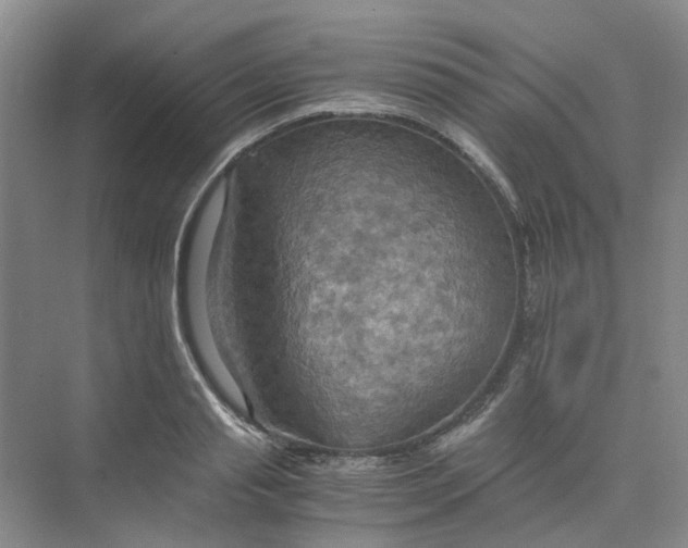 X0000075890845200609291704