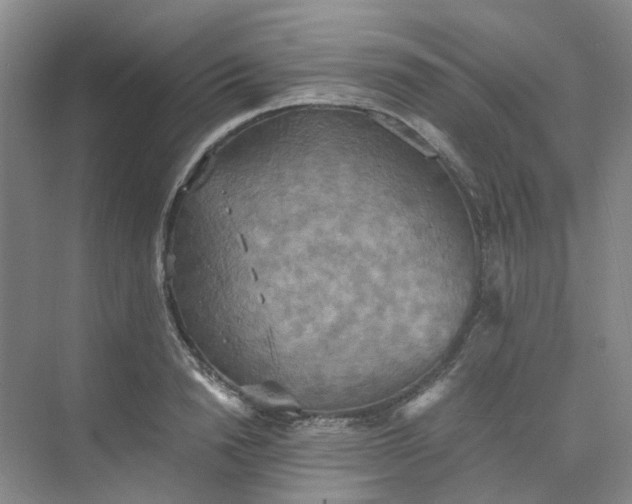 X0000075890846200609291704