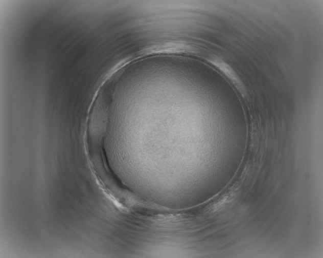 X0000075890850200609291704