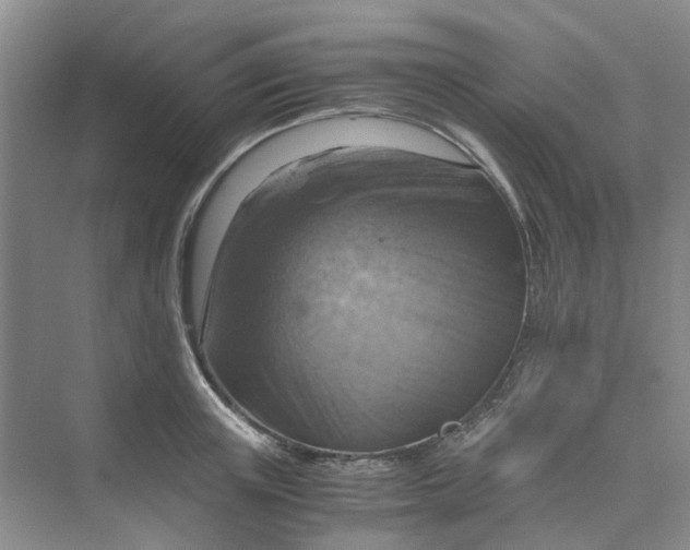 X0000075890851200609291704