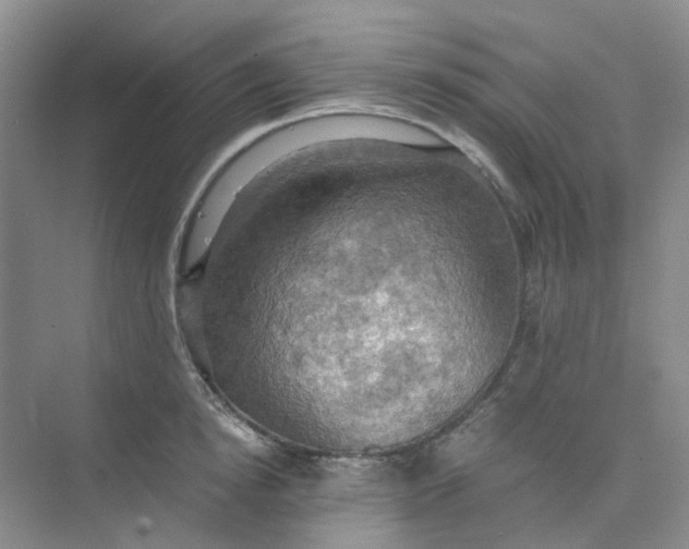 X0000075890854200609291704