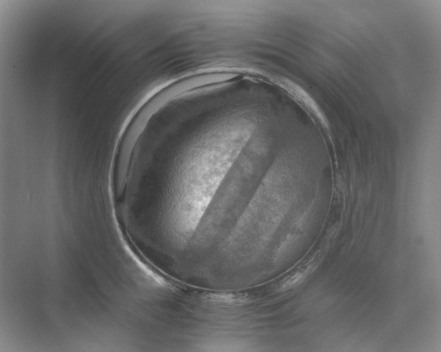 X0000075890855200609291704