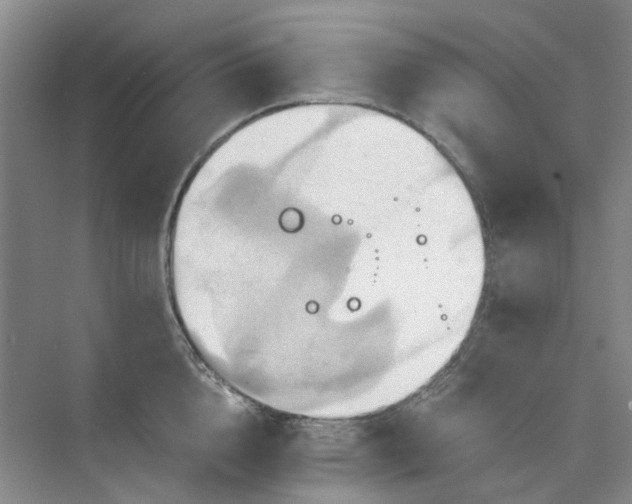 X0000075890856200609291704