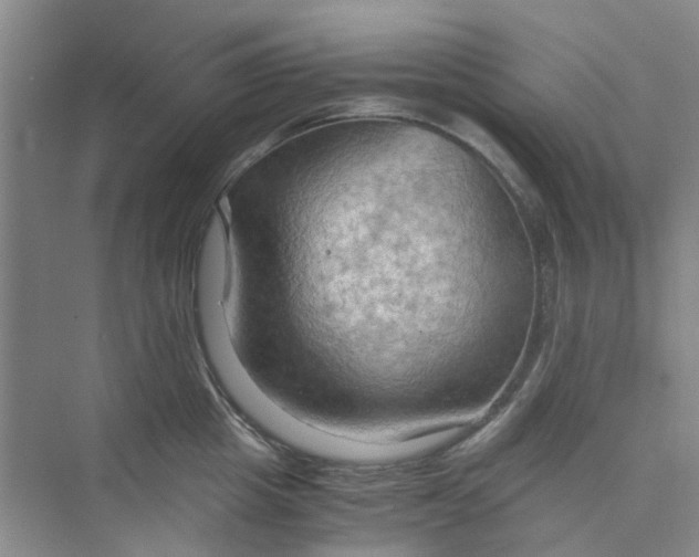 X0000075890857200609291704