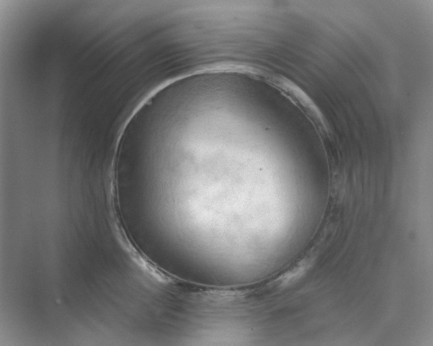 X0000075890860200609291704