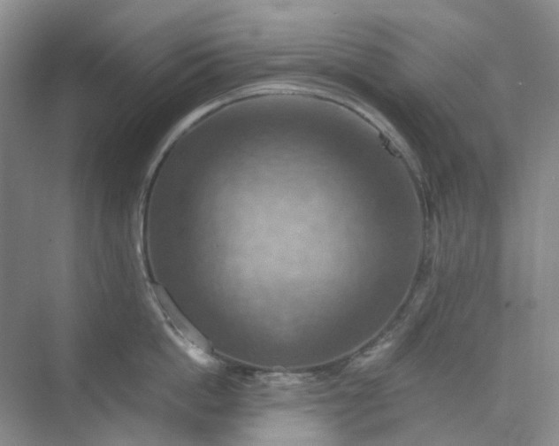 X0000075890862200609291704