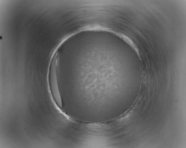 X0000075890863200609291704