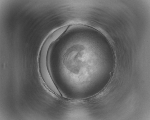 X0000075890864200609291704