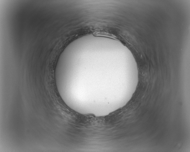 X0000075890865200609291703