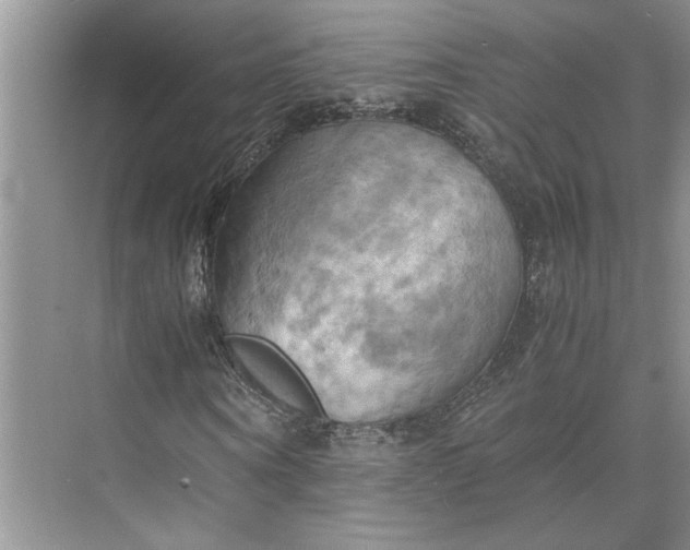 X0000075890866200609291703