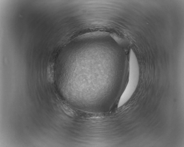 X0000075890868200609291703