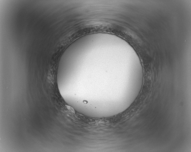 X0000075890869200609291703