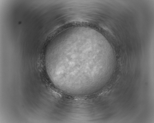 X0000075890870200609291703