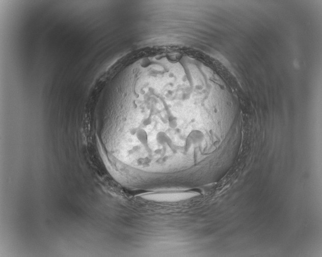 X0000075890871200609291703