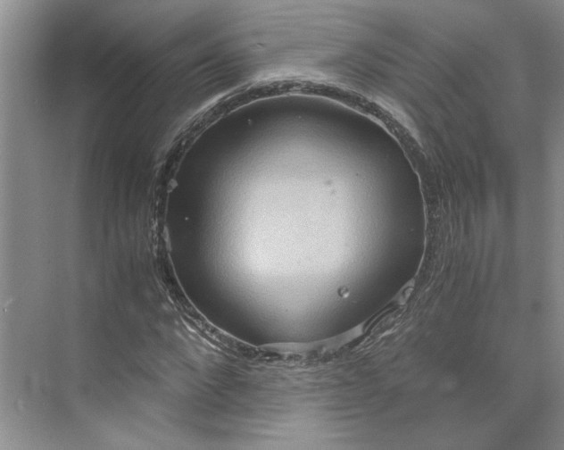 X0000075890872200609291703