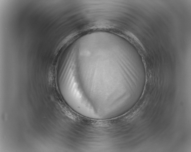 X0000075890874200609291703