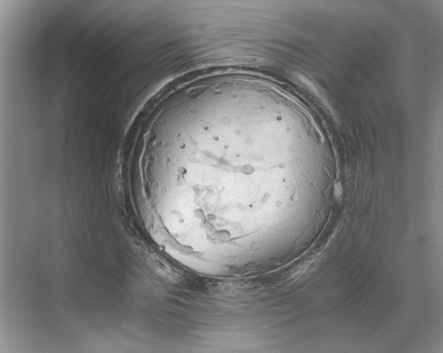 X0000075890875200609291703