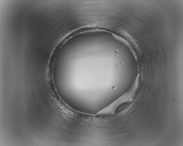 X0000075890876200609291703