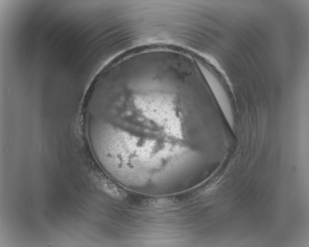 X0000075890879200609291703