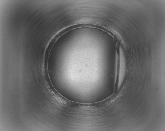 X0000075890880200609291703