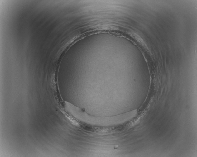 X0000075890881200609291703