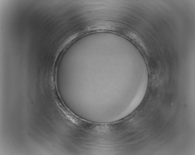 X0000075890882200609291703