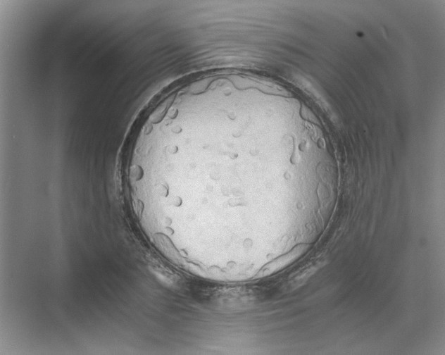 X0000075890883200609291703