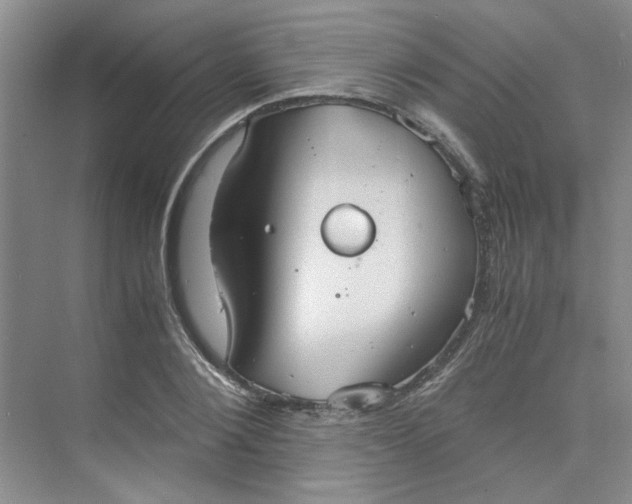 X0000075890884200609291703