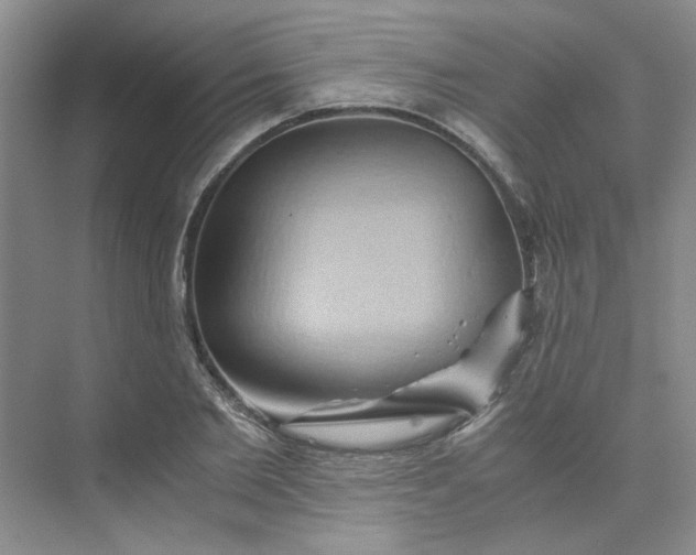 X0000075890885200609291703